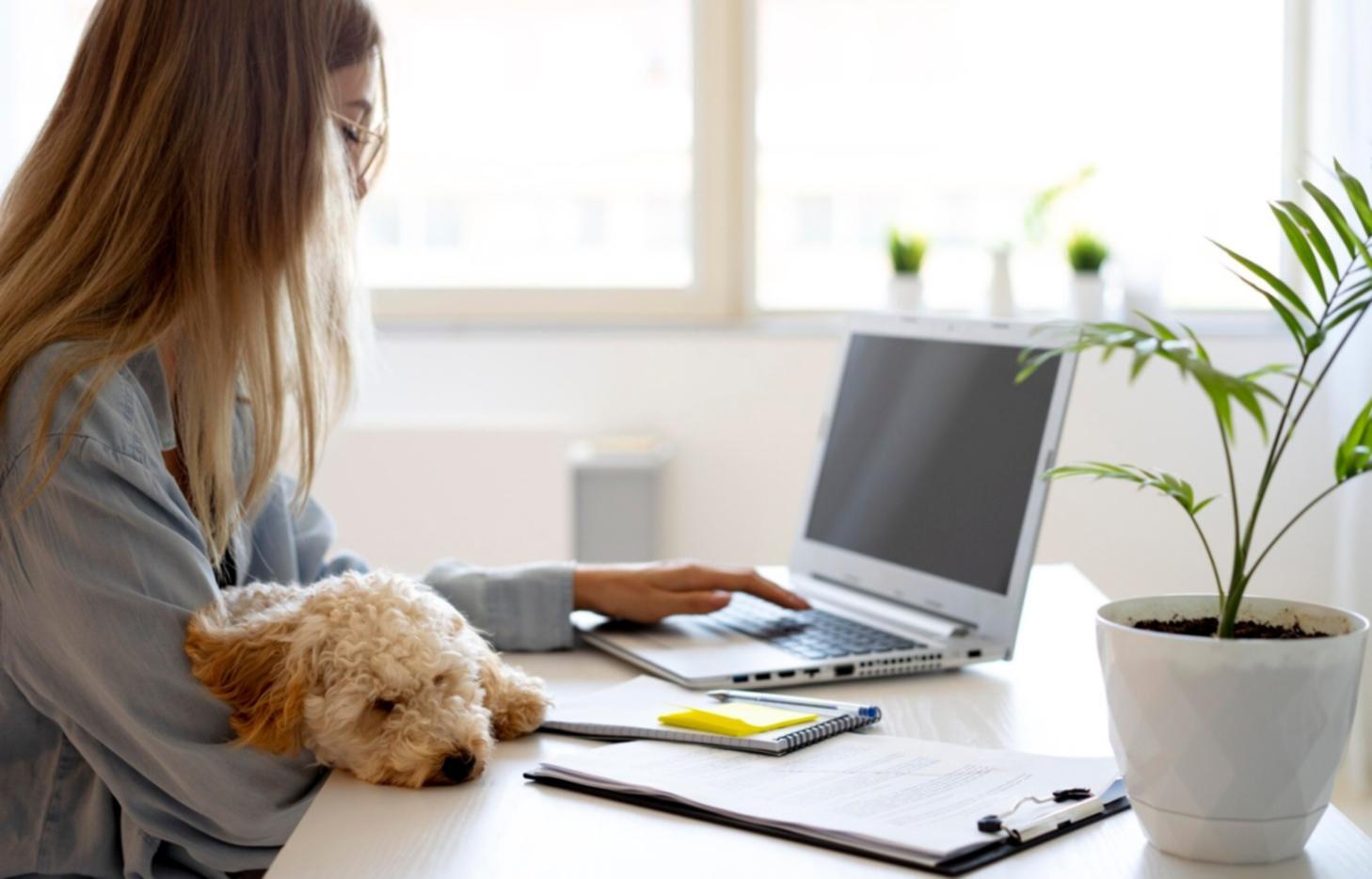 jorellithae Büroumgebung in Warberg